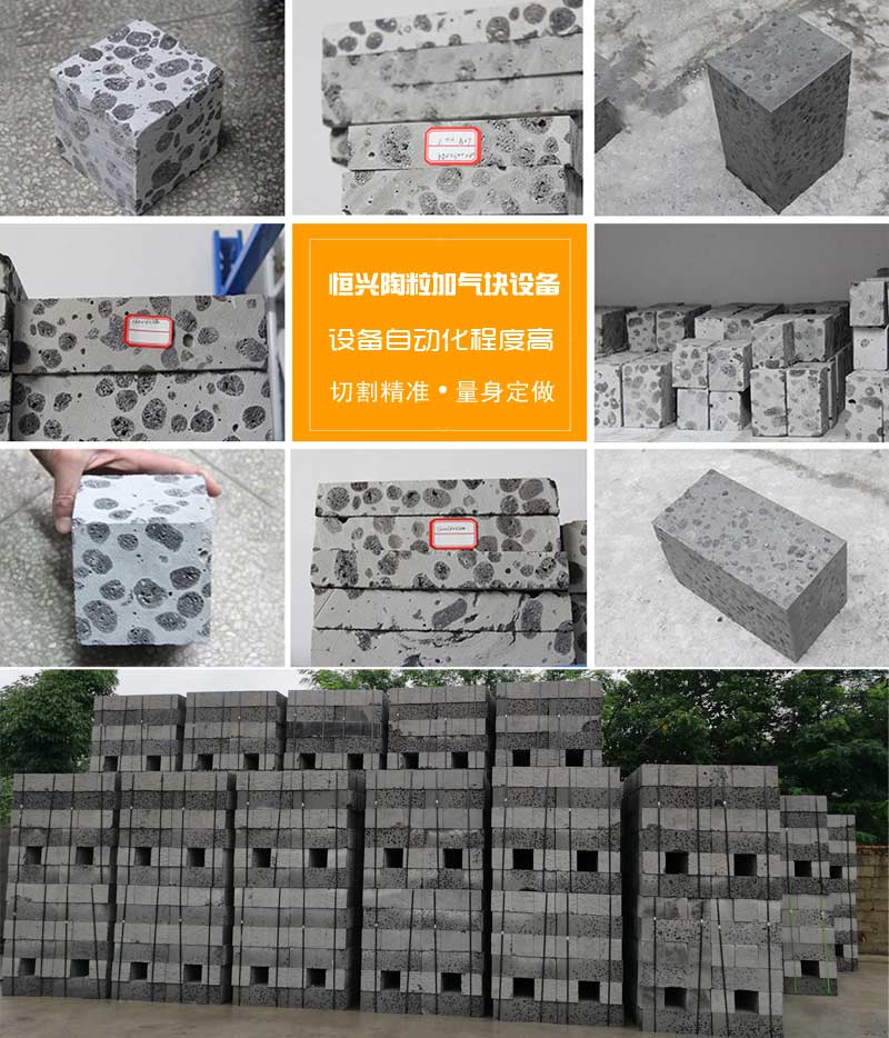 陶粒加氣混(hùn)凝土砌塊(kuài)